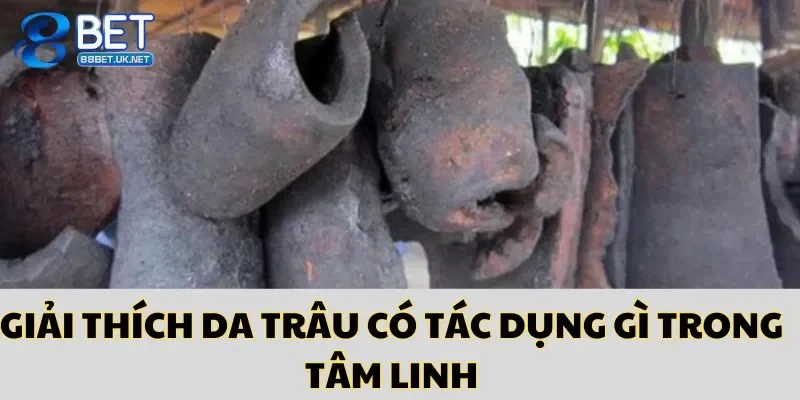 Da trâu có tác dụng gì trong tâm linh - về tài lộc, may mắn
